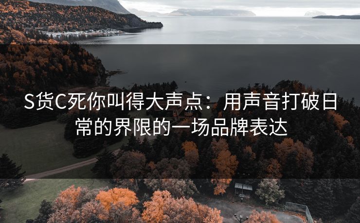 S货C死你叫得大声点：用声音打破日常的界限的一场品牌表达  第1张