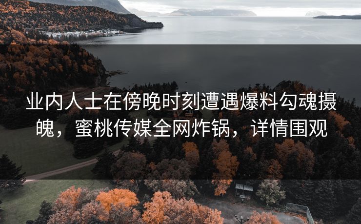 业内人士在傍晚时刻遭遇爆料勾魂摄魄,蜜桃传媒全网炸锅,详情围观