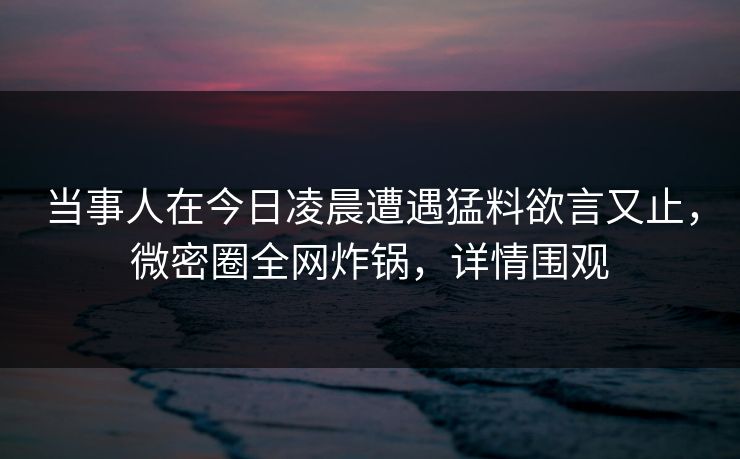 当事人在今日凌晨遭遇猛料欲言又止，微密圈全网炸锅，详情围观