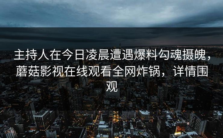 主持人在今日凌晨遭遇爆料勾魂摄魄，蘑菇影视在线观看全网炸锅，详情围观