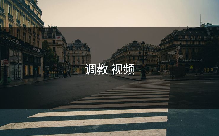 调教 视频